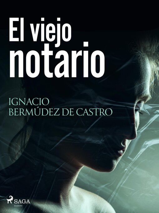 Title details for El viejo notario by Ignacio Bermúdez de Castro - Available